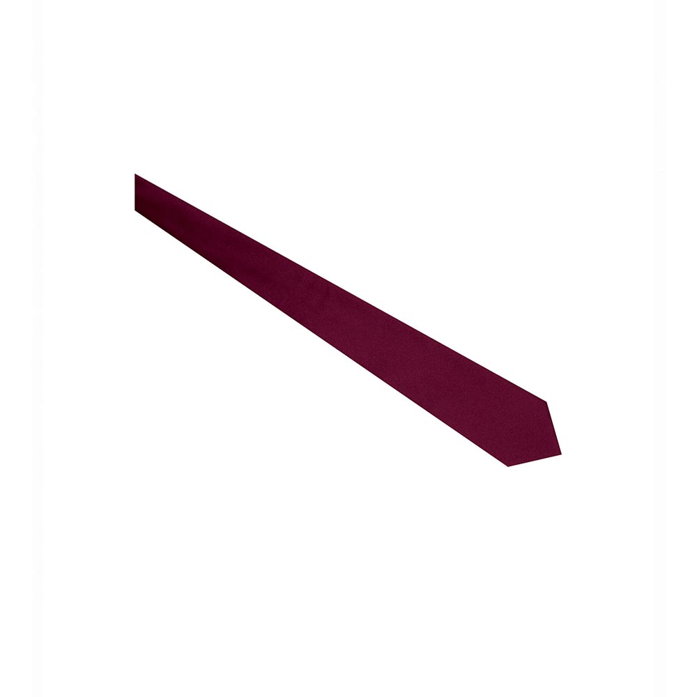 Cravatta classica bordeaux UDS 00350 - immagine 3